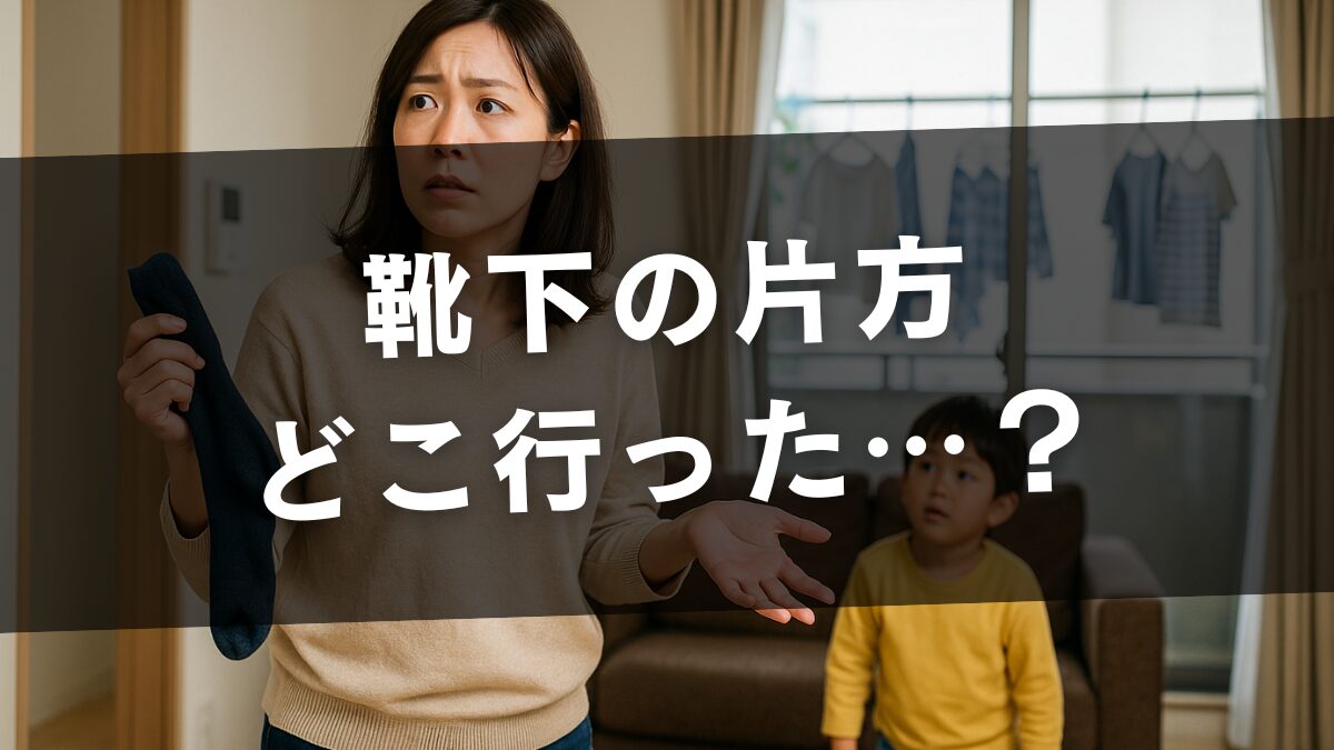 靴下の片方、どこ行った？